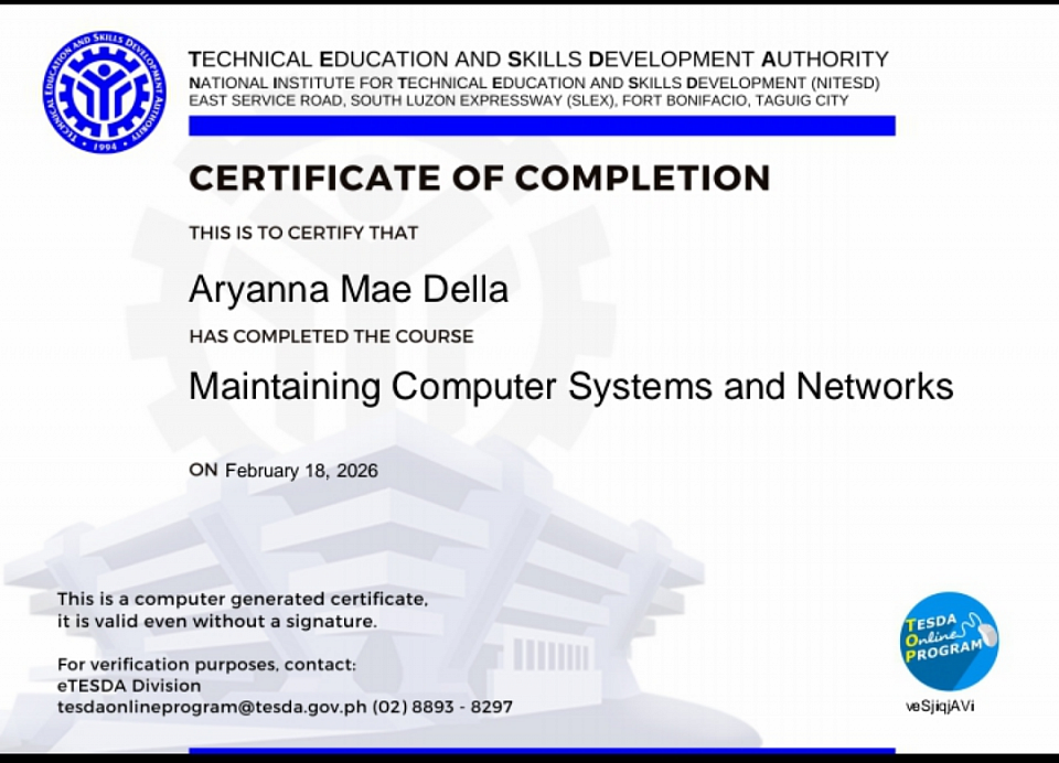 MAINTAINING COMPUTER SYSTEMS AND NETWORKS